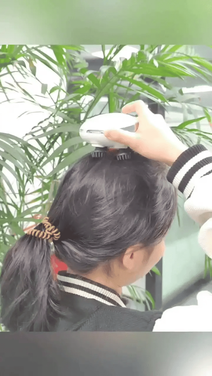 Functional Head Massager